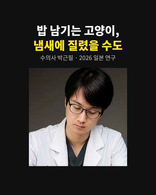 고양이가 밥을 남기는 게 꼭 입맛이 없어서는 아닙니다.