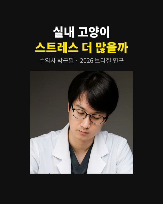 실내에서만 사는 고양이, 스트레스가 더 많을까요?