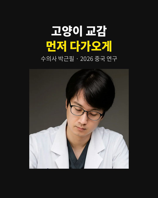 고양이를 꼭 안아 주고 싶을 때, 어떻게 하시나요?