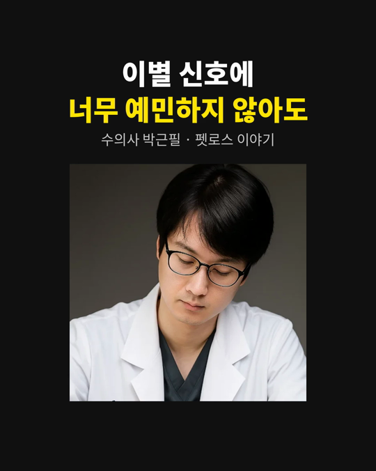 나이 든 반려동물이 아플 때, 행동 하나하나를 이별 신호로 읽고 계신가요?