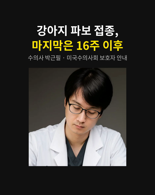 강아지 파보 장염, 예방접종을 끝까지 맞히셨나요?