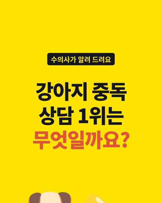 강아지 중독, 초콜릿보다 흔한 게 있습니다.