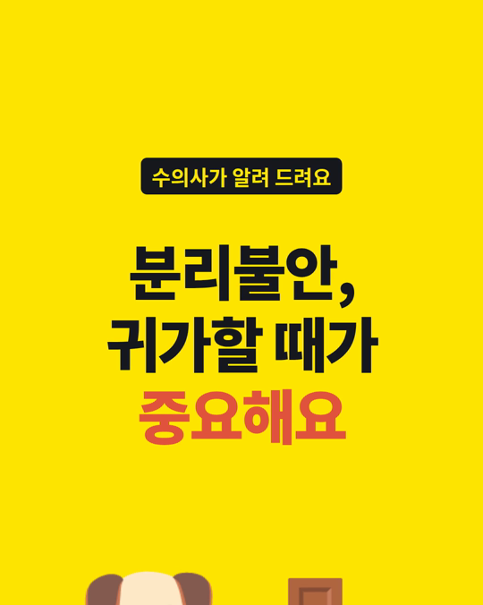 강아지 분리불안, 강아지 시절 습관과 관련이 있었습니다.
