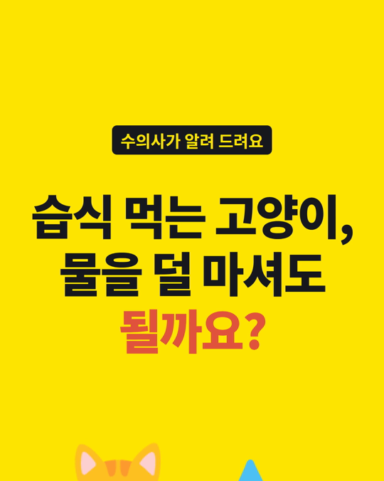 습식 먹는 고양이, 물을 덜 마셔도 괜찮을까요?