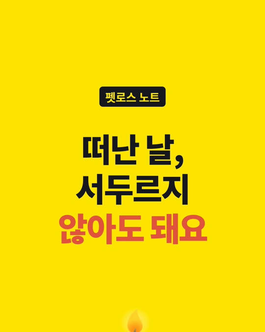 반려동물이 떠난 밤, 모든 걸 오늘 안에 정하지 않아도 됩니다.