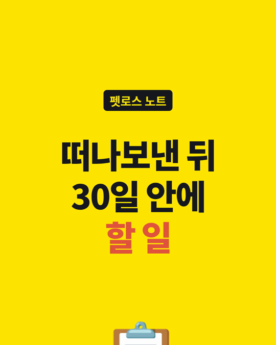 반려동물을 떠나보낸 뒤, 아무도 알려 주지 않는 기한이 있습니다.
