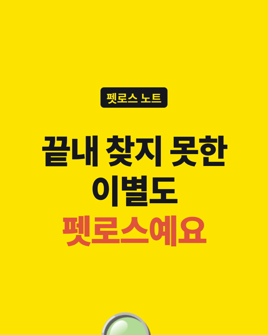 반려동물을 잃어버리고 끝내 찾지 못했다면, 그것도 펫로스입니다.