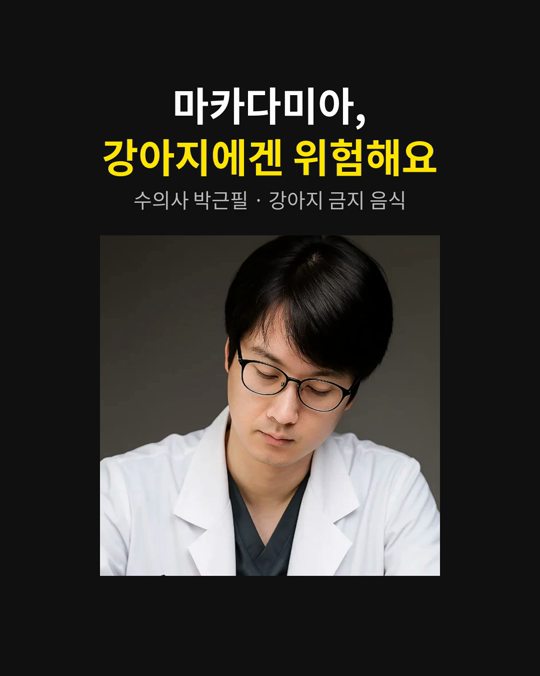 마카다미아, 강아지에게 주면 안 되는 견과류입니다.