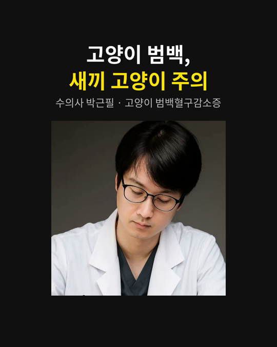 고양이 범백(범백혈구감소증), 새끼 고양이에게 가장 위험합니다.