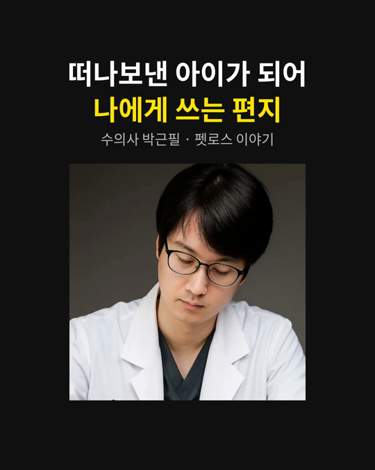 떠나보낸 반려동물이 되어, 나에게 편지를 써 보신 적 있나요?