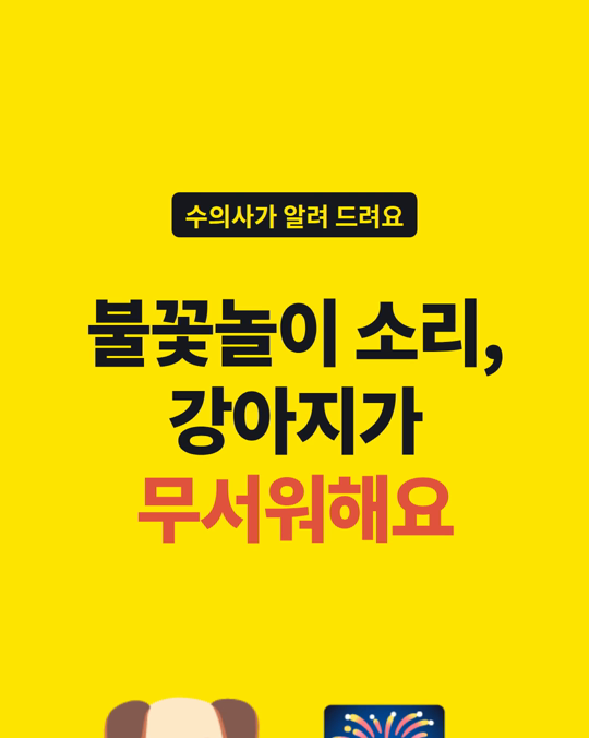 불꽃놀이 소리를 무서워하는 강아지, 축제 전부터 준비해 주세요.