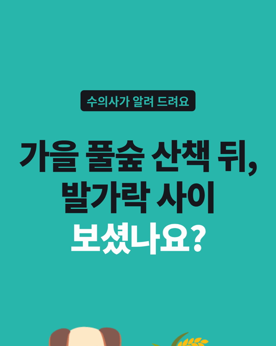 가을 풀숲 산책 뒤, 강아지 발가락 사이를 꼭 벌려 보세요.
