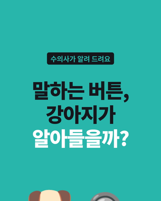 강아지 「말하는 버튼」, 정말 단어를 알아들을까요?