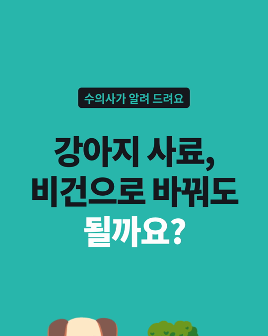 강아지 비건 사료, 바꿔도 괜찮을까요?
