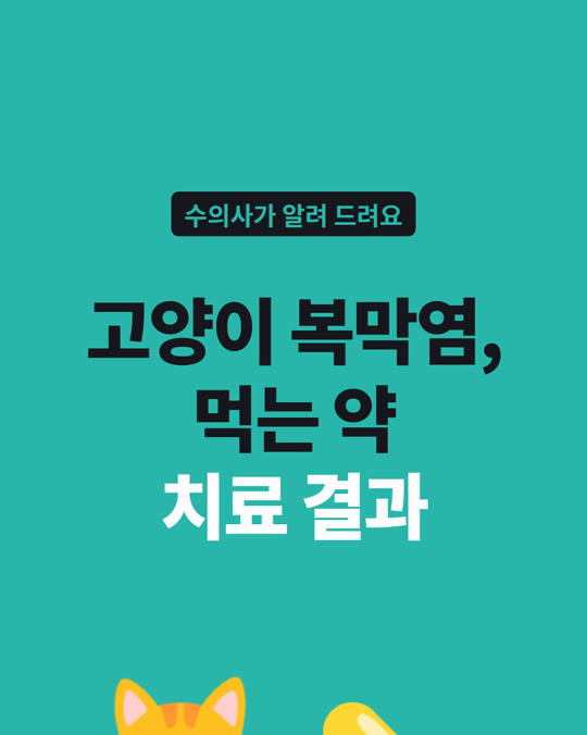 고양이 전염성 복막염(FIP), 먹는 약 치료 결과가 나왔습니다.