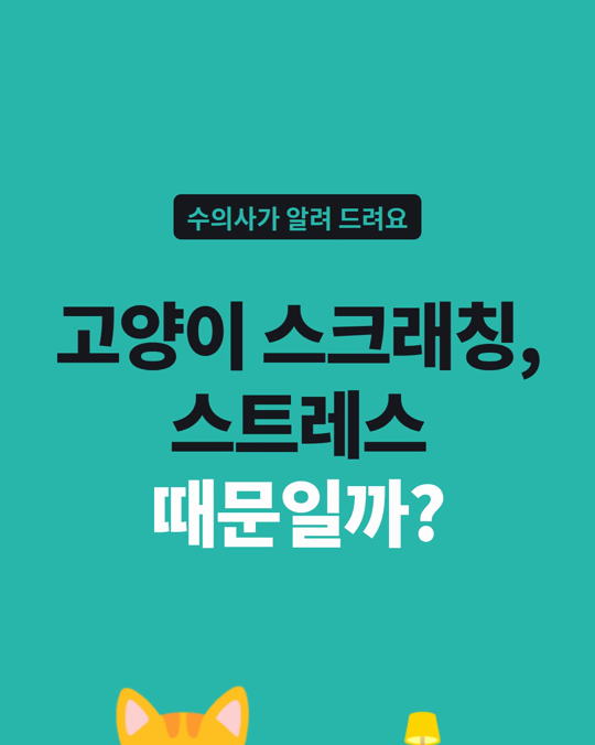 고양이 스크래칭, 스트레스 신호일까요?