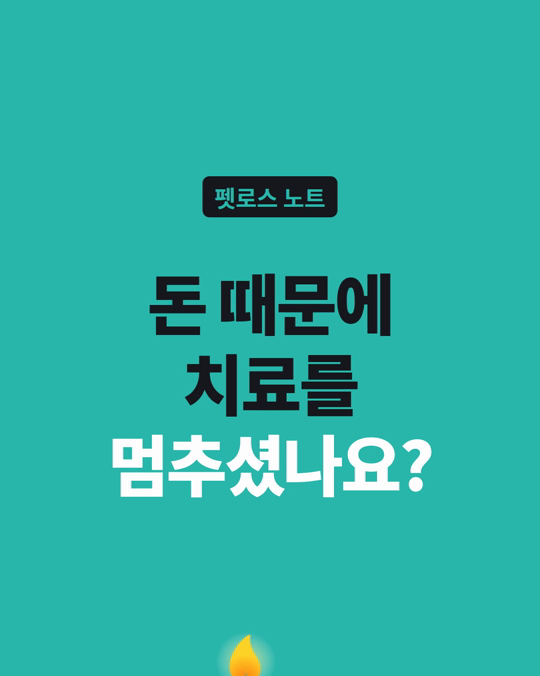 돈 때문에 치료를 포기했습니다. 제가 죽인 걸까요?
