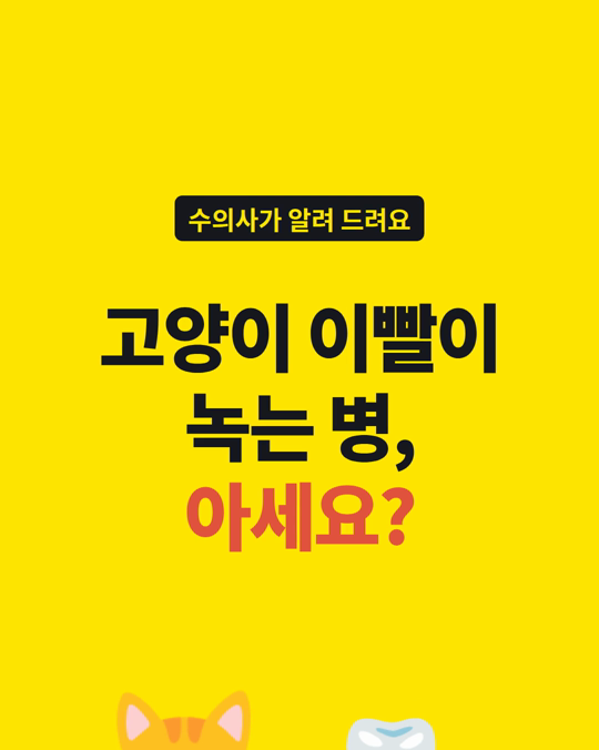 고양이 치아흡수성 병변, 입안만 봐서는 잘 안 보입니다.