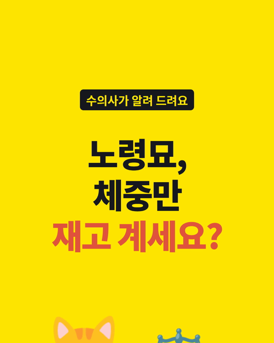 노령묘는 체중보다 근육이 먼저 빠질 수 있습니다.