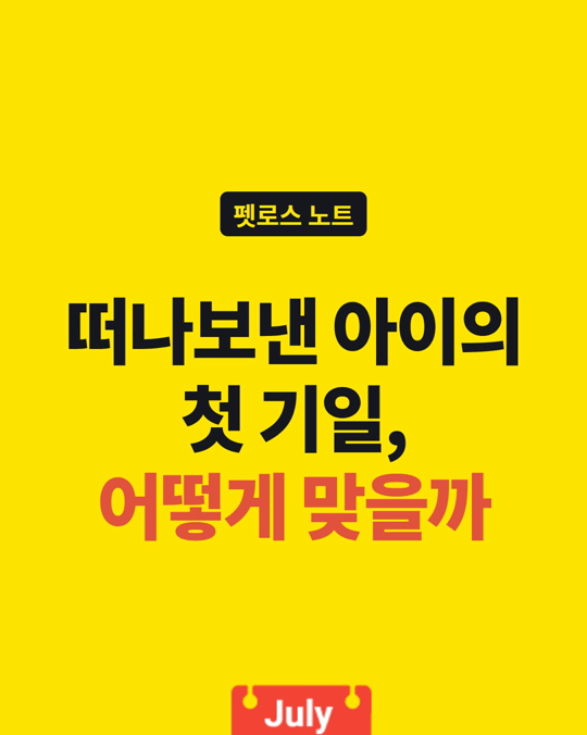 떠나보낸 반려동물의 첫 기일, 어떻게 맞으실 건가요?