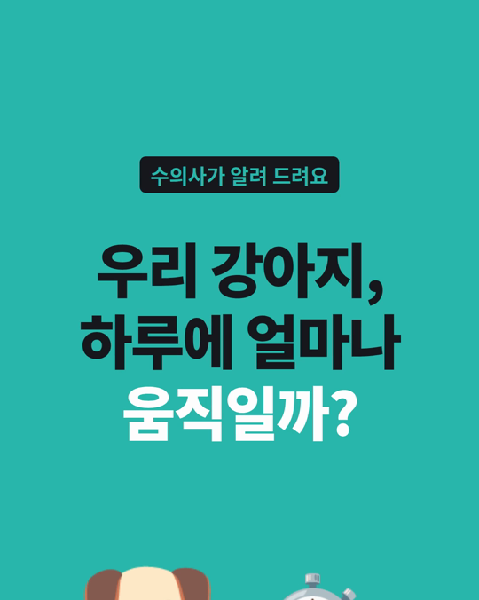 강아지 하루 활동량, 실제로 재어 보니 평균 51분이었습니다.