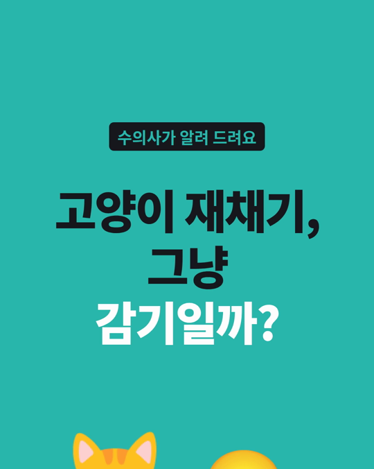 고양이 재채기·콧물, 원인균이 한 가지가 아닐 때가 많습니다.