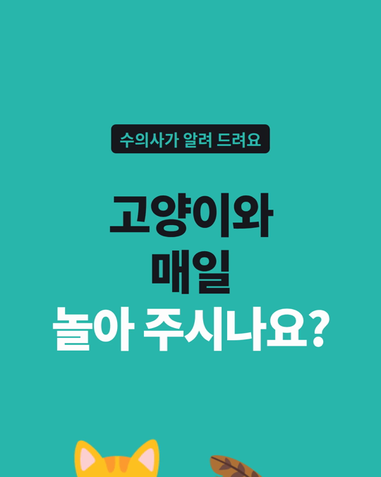 고양이와 매일 놀아 주는 보호자, 절반도 안 됩니다.