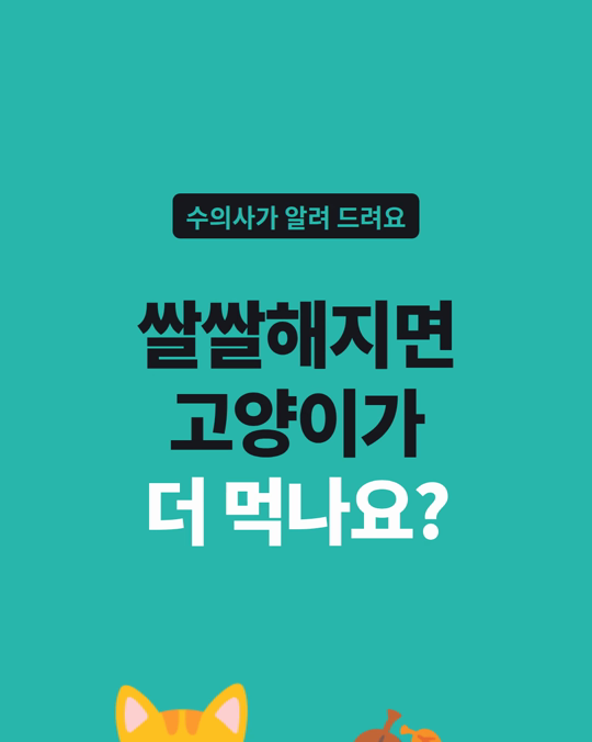 쌀쌀해지면 고양이가 더 먹습니다. 여름보다 겨울에 약 15% 더.