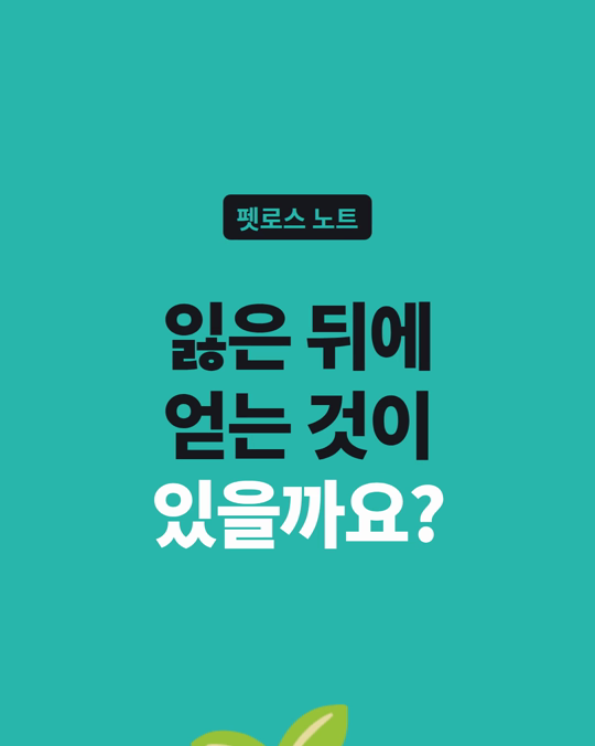 반려동물을 보낸 슬픔에서, 제가 얻을 게 있을까요?