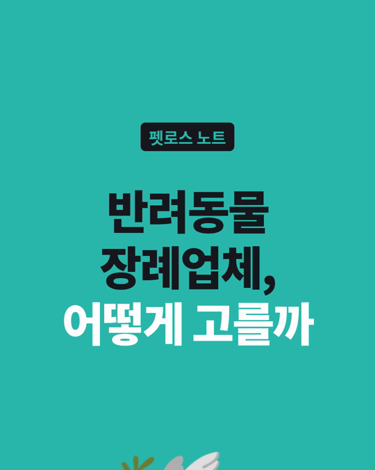 반려동물 장례업체, 어떻게 고를까요?
