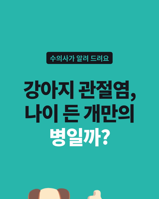 강아지 관절염, 나이 든 개만의 병이 아닙니다.