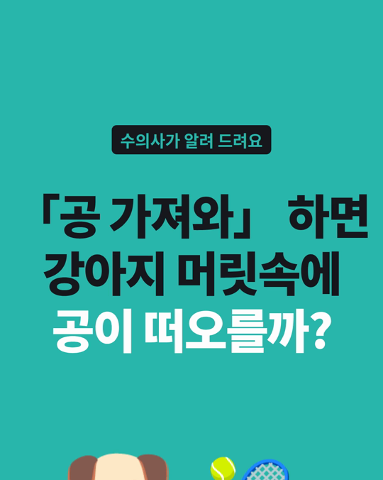 「공 가져와」 할 때, 강아지 머릿속에도 공이 떠오를까요?