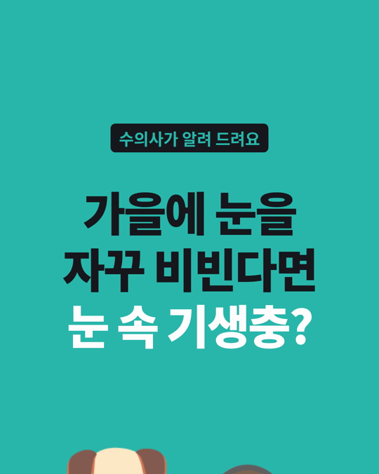 가을에 강아지가 눈을 자꾸 비빈다면, 눈 속 기생충일 수 있습니다.