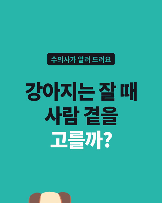 강아지는 잘 때 사람 곁을 고를까요?