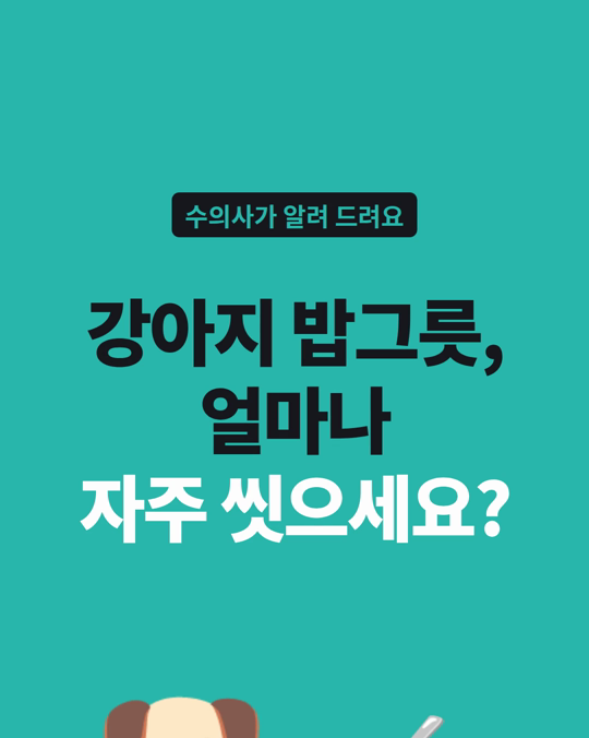 강아지 밥그릇, 재질보다 씻는 주기가 먼저입니다.