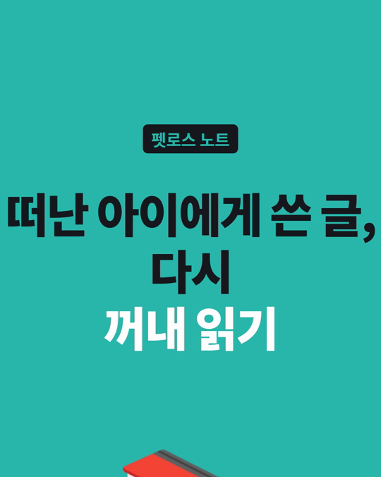 떠난 아이에게 쓴 글, 쓰고 나서 어떻게 하시나요?