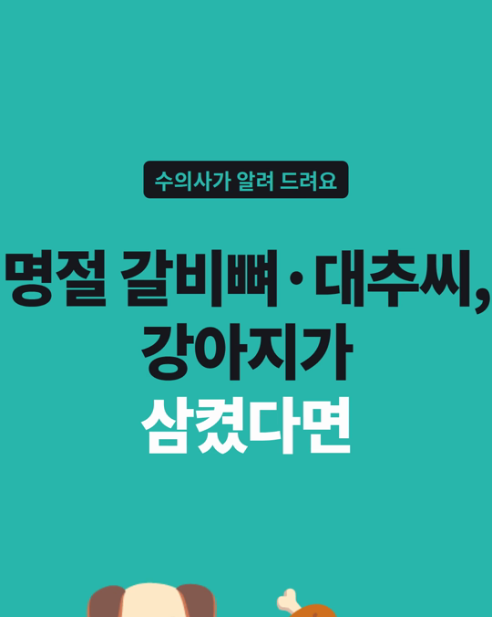 명절 갈비뼈·대추씨, 강아지 식도와 위에 걸릴 수 있습니다.