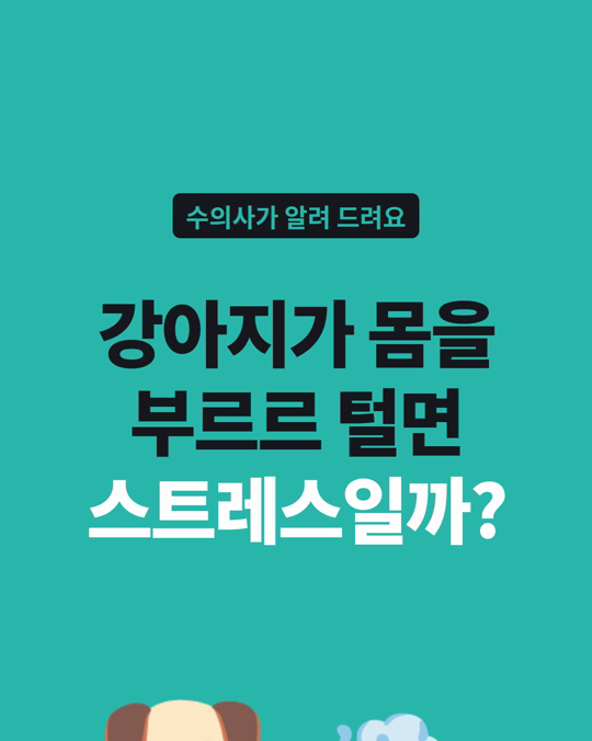 강아지가 몸을 부르르 털면, 스트레스 신호일까요?
