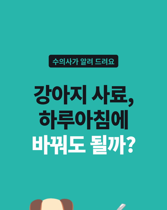 강아지 사료 바꿀 때, 천천히 섞어야 할까요?