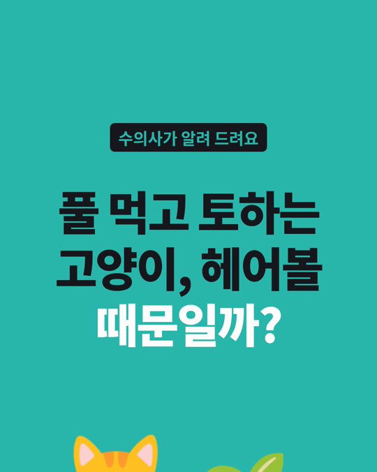 풀 먹고 토하는 고양이, 헤어볼 때문일까요?