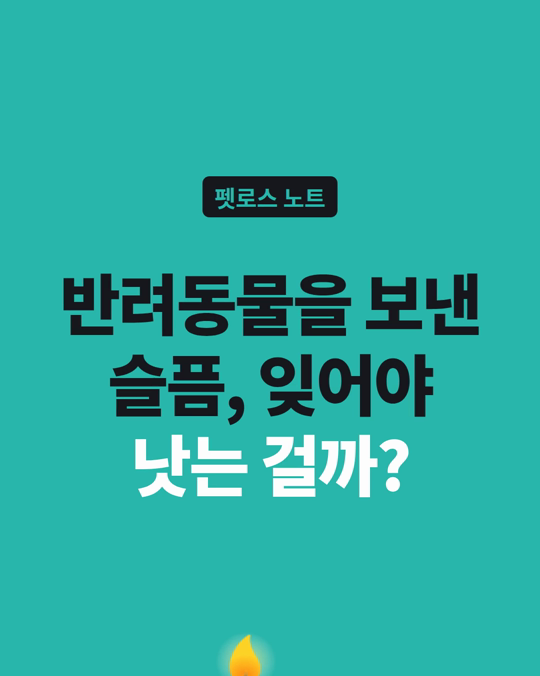 반려동물을 보낸 슬픔, 잊어야 낫는 건가요?