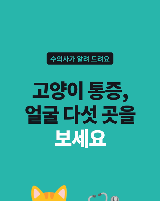 고양이는 아파도 숨깁니다.