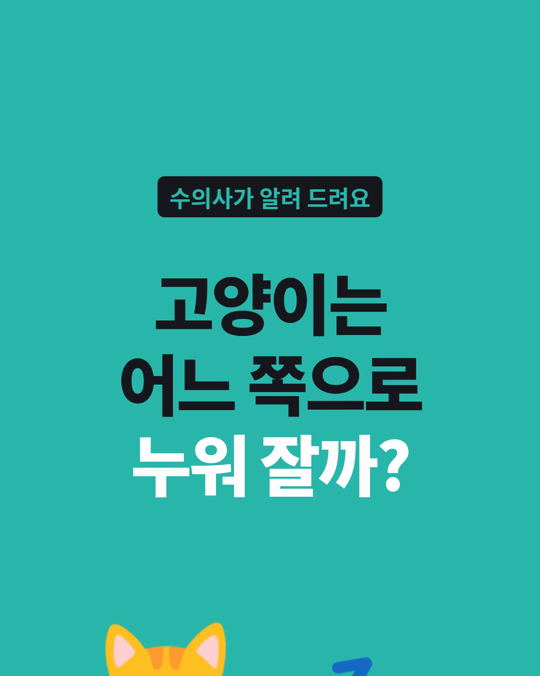 고양이 3마리 중 2마리는 왼쪽으로 누워 잡니다.