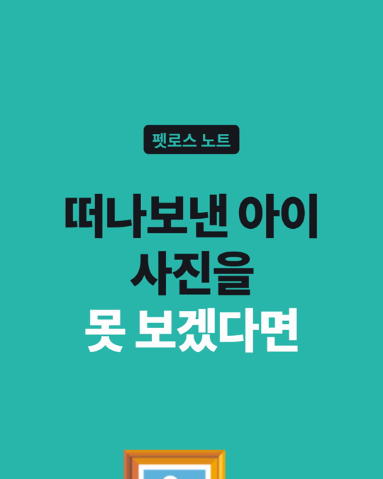 떠나보낸 반려동물 사진을 못 보겠어요. 봐야 하나요?