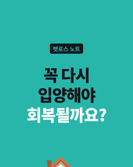 반려동물을 떠나보낸 뒤, 꼭 다시 입양해야 회복되나요?