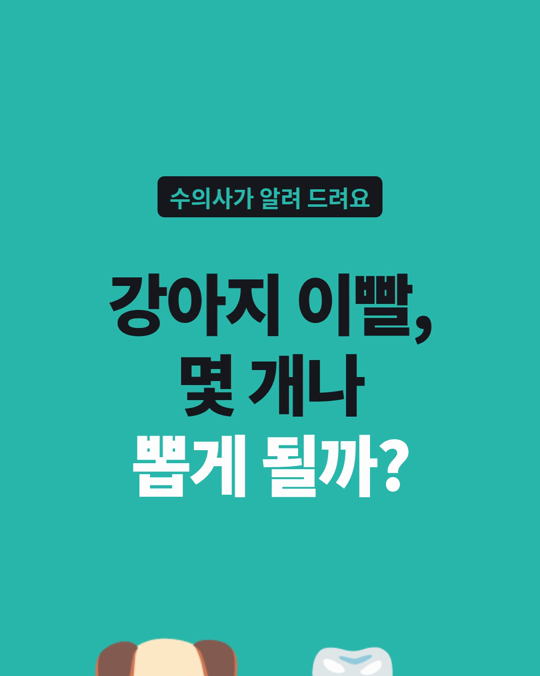 강아지 이빨, 몇 개나 뽑게 될까요?