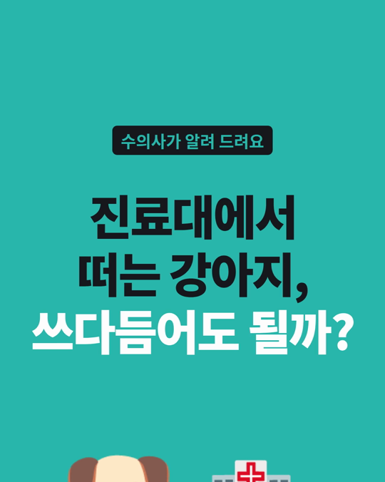 병원 진료대에서 떠는 강아지, 쓰다듬어 줘도 될까요?