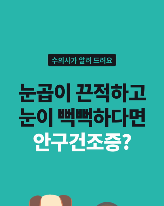 강아지 눈곱이 끈적하고 눈이 뻑뻑해 보인다면, 안구건조증일 수 있습니다.