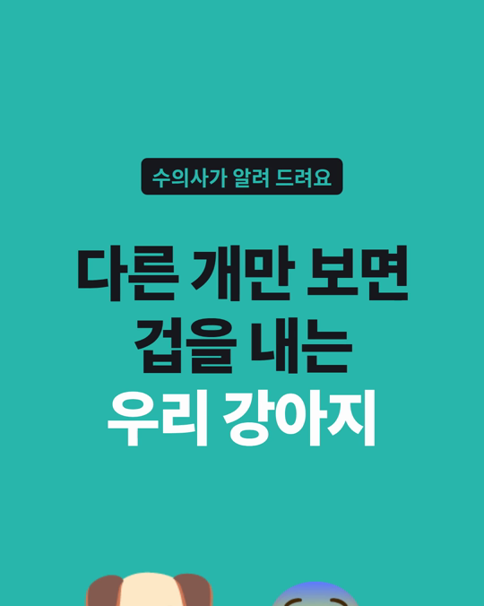 우리 강아지는 왜 다른 개만 보면 겁을 낼까요?
