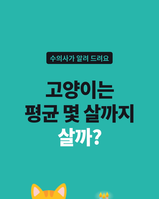 고양이는 평균 몇 살까지 살까요?